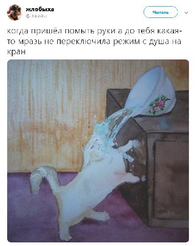 жлобыха и Читать @zhlobiha когда пришёл помыть a до тебя какая- то мразь не переключила режим с душа на кран