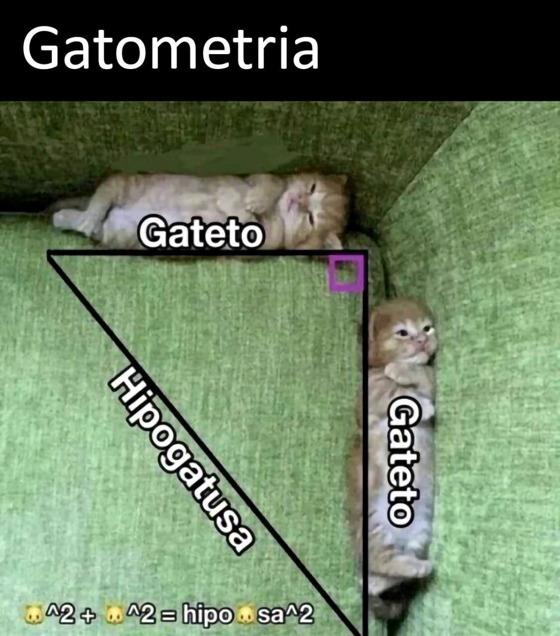 Gatometria Gateto 3. i hipo ®5а^2
