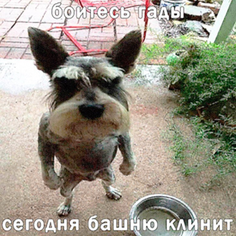 4 4 a we a, 4 a сегодня башню клинит