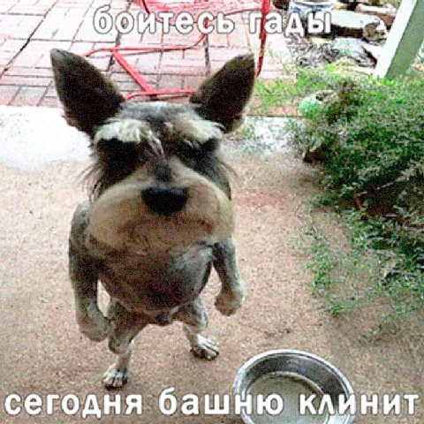 4 4 a we a, 4 a сегодня башню клинит