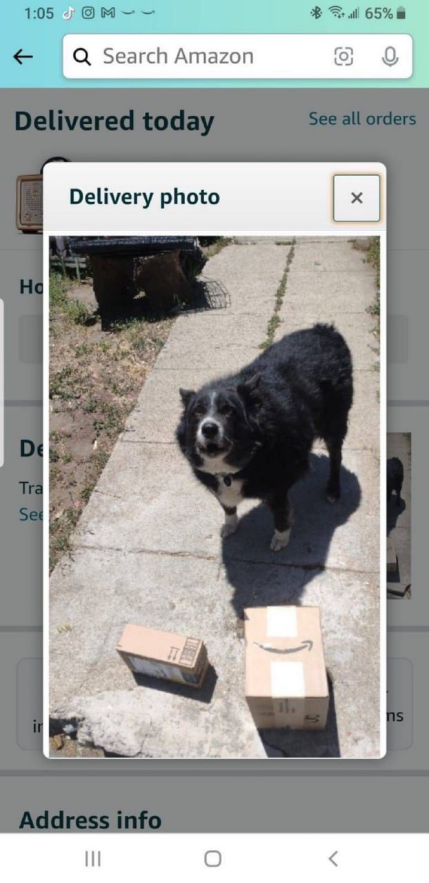 1:05 65% Search Amazon 9 Delivery photo я