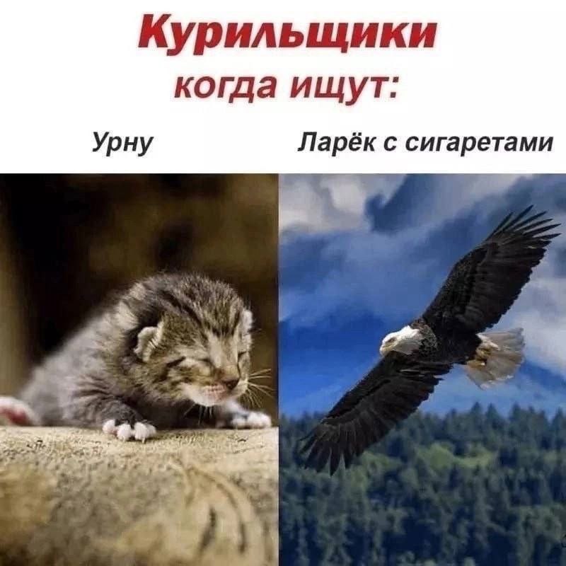 Курильщики когда ищут. Урну Ларёк с сигаретами 23