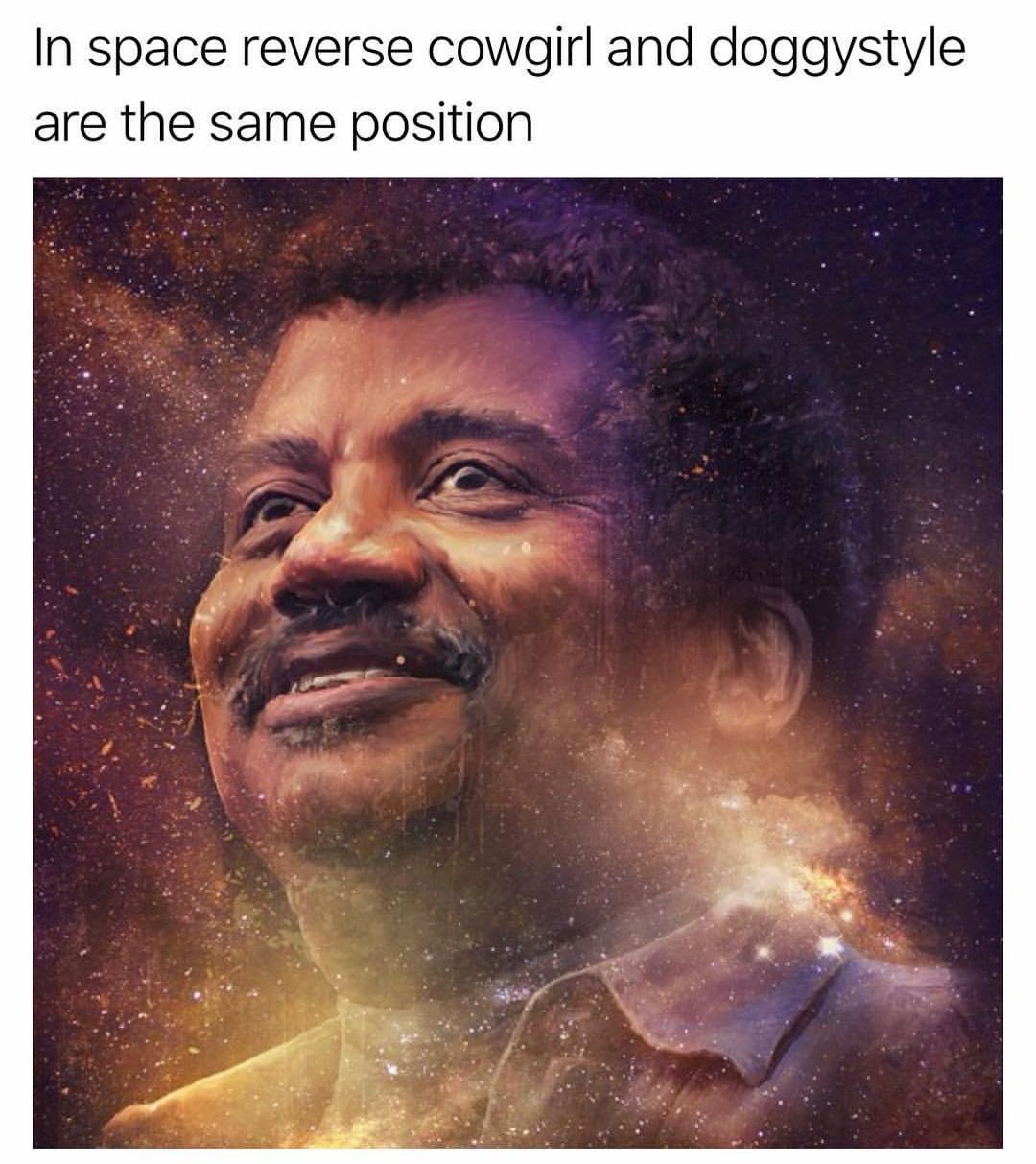 In space reverse cowgirl and doggystyle are the same position