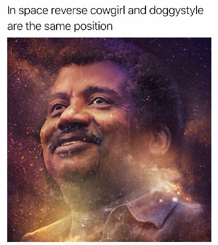 In space reverse cowgirl and doggystyle are the same position