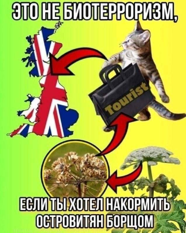 ОРИЗМ ОСТВОВИТЯН