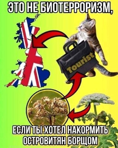 ОРИЗМ ОСТВОВИТЯН