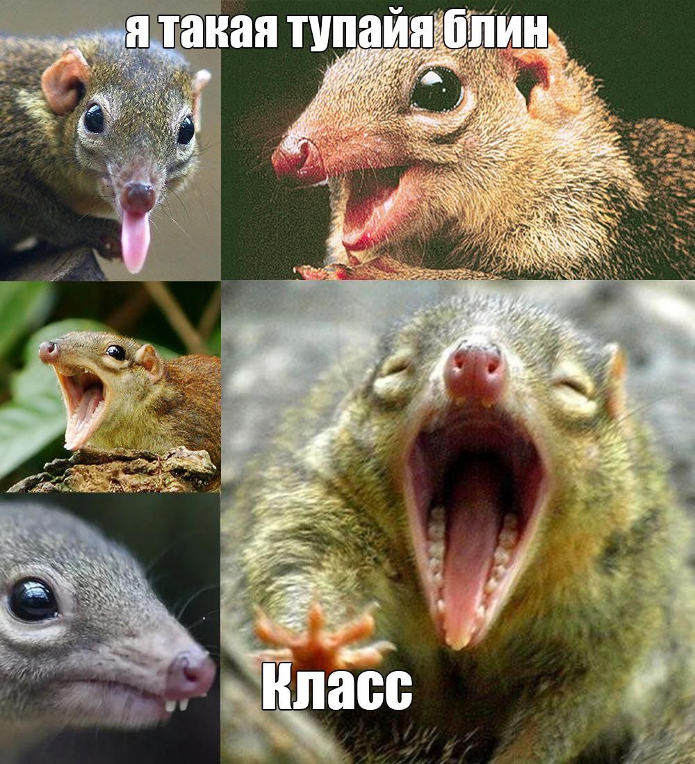 такая тупай я блин. у Класс