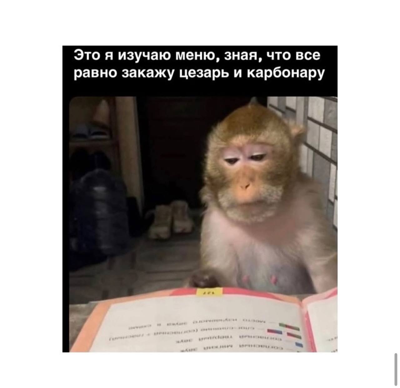 Это я изучаю меню, зная, что все равно закажу цезарь и карбонару