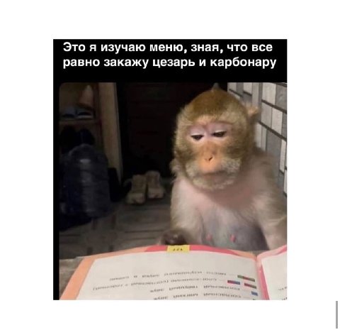 Это я изучаю меню, зная, что все равно закажу цезарь и карбонару
