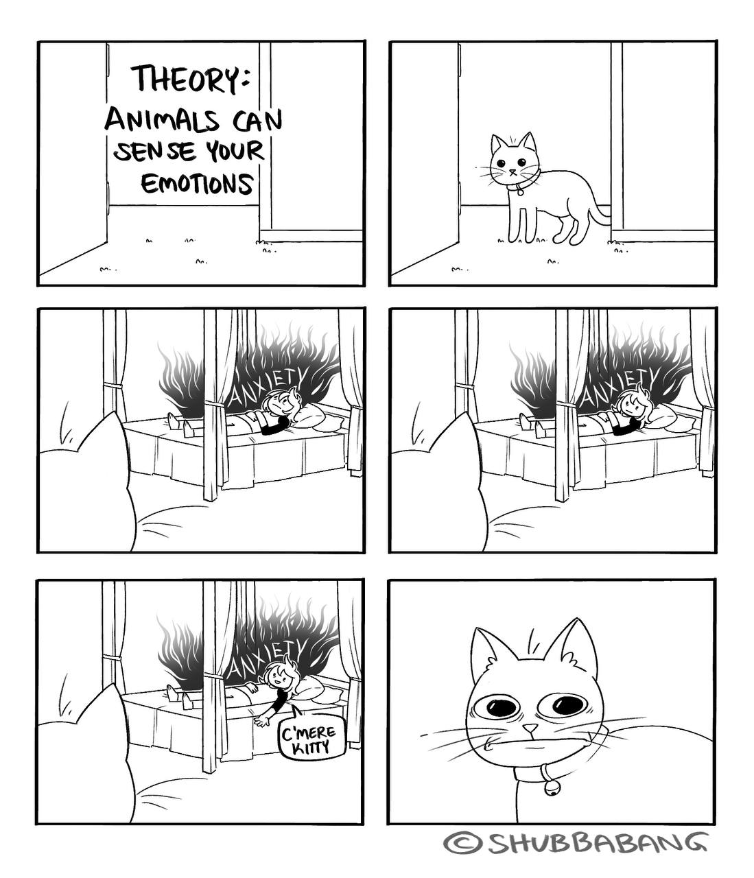 THEORY: SENSE EMOTIONS ЕТУ SHUBBABANG