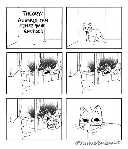 THEORY: SENSE EMOTIONS ЕТУ SHUBBABANG