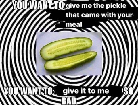 me the pickle that came with your meal it 50 give it tome