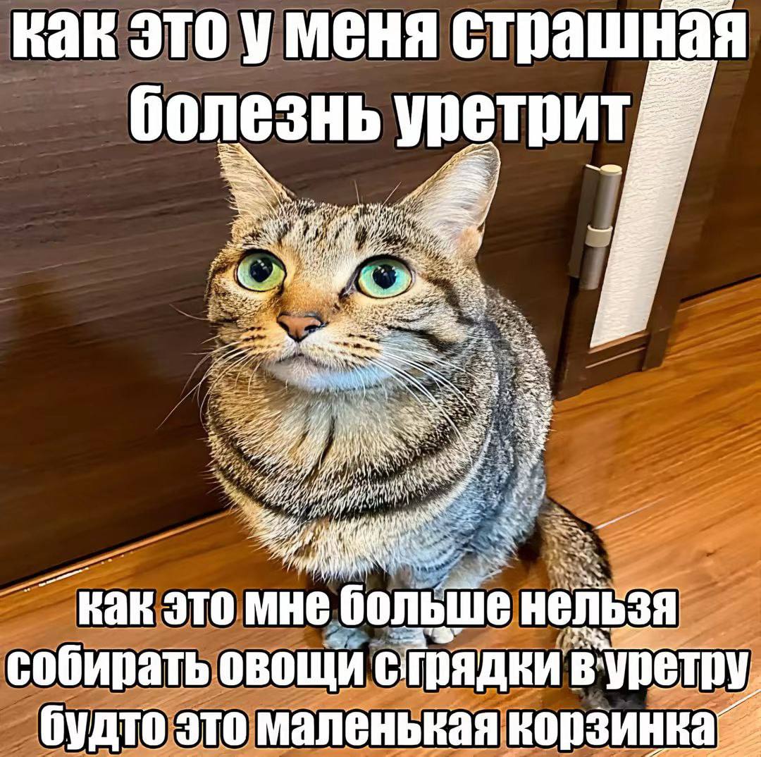 как это уменя страшная болезнь как это мне больше нельзя собирать овощи сгрядки будто это маленькая