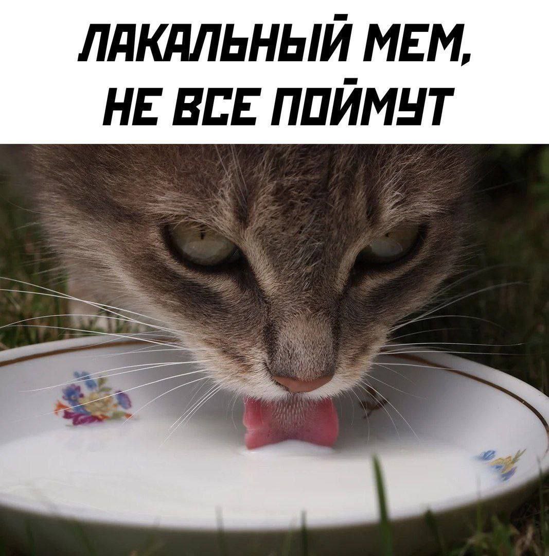 ЛАКАЛЬНЫЙ МЕМ, НЕ ВСЕ