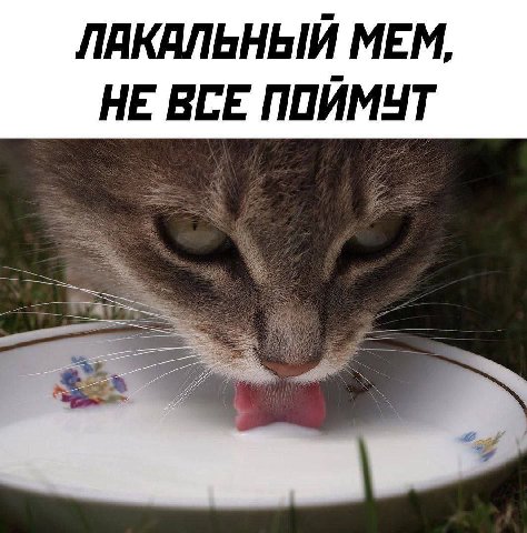 ЛАКАЛЬНЫЙ МЕМ, НЕ ВСЕ