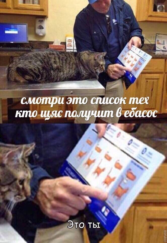 смотри это список тех кто щяс получит 6 ебасос Это ты