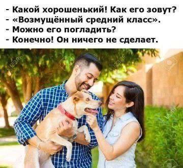 Какой хорошенький! Как его зовут? «Возмущённый средний класс». Можно его погладить? Конечно! Он ничего не сделает. Я Lat?