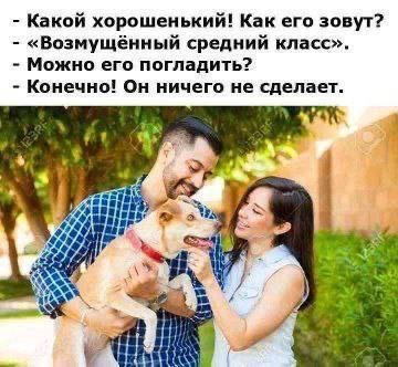 Какой хорошенький! Как его зовут? «Возмущённый средний класс». Можно его погладить? Конечно! Он ничего не сделает. Я Lat?