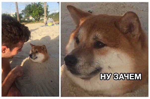 97 НУ ЗАЧЕМ