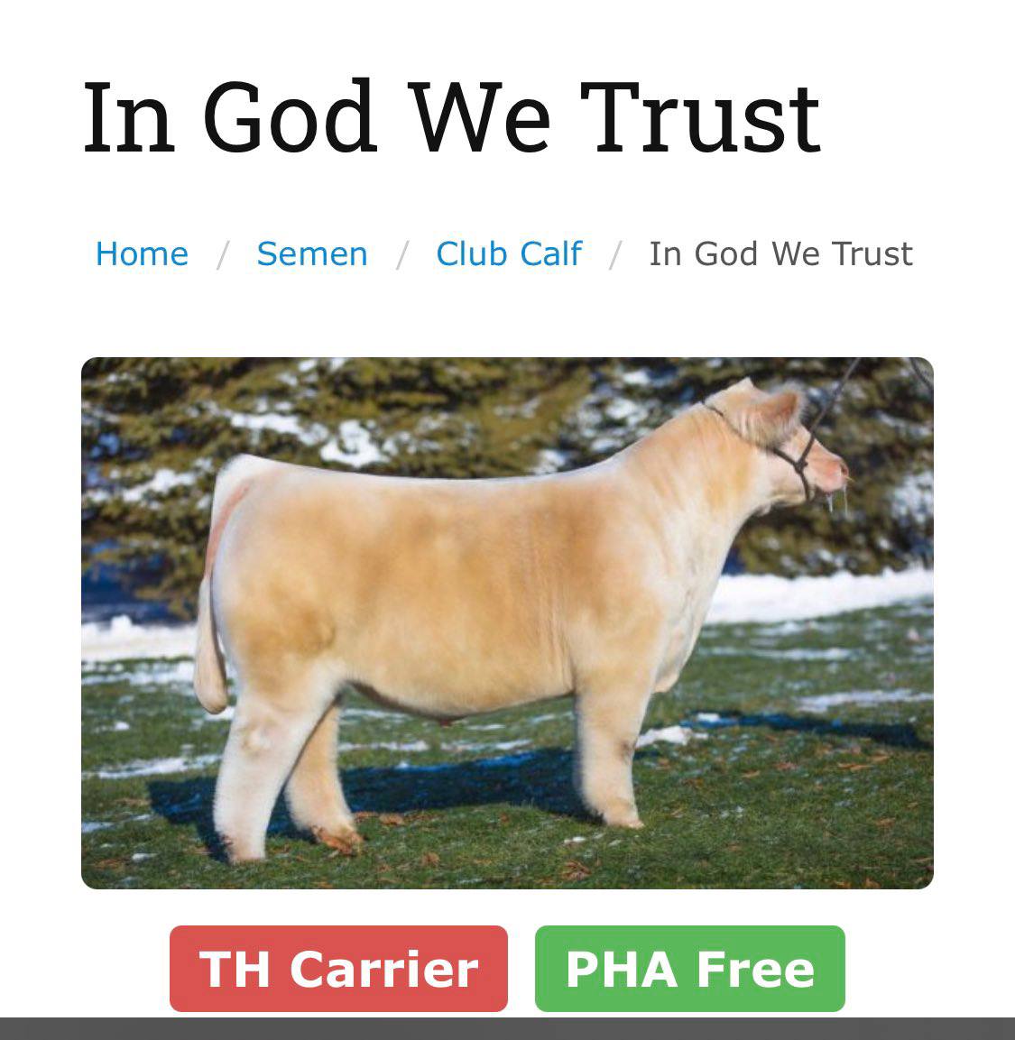 In God We Trust Home Semen Club Calf In God We Trust