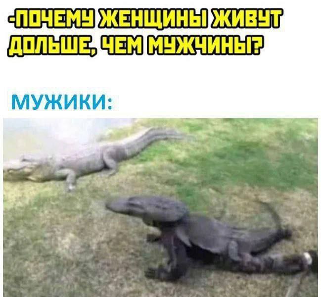 МУЖИКИ: