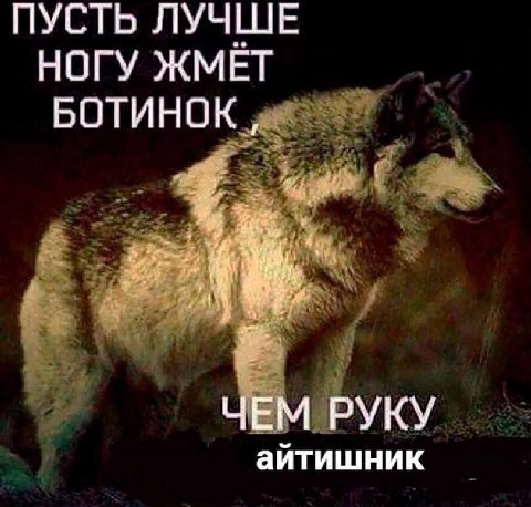ПУСТЬ ЛУЧШЕ НОГУ ЖМЕТ БОТИНОК Я ЧЕМ РУКУ айтишник