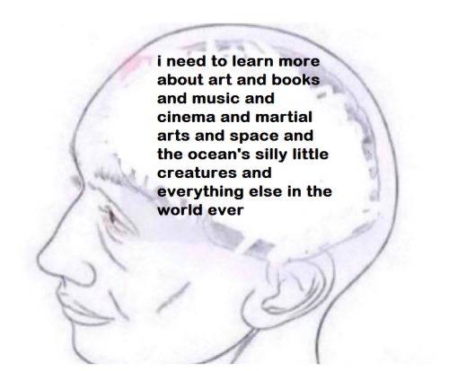i need to learn more about art and books and music and cinema and martial arts and space and the ocean's silly little creatures and 7 everything else the у world ever