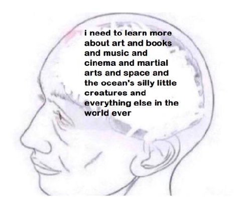 i need to learn more about art and books and music and cinema and martial arts and space and the ocean's silly little creatures and 7 everything else the у world ever