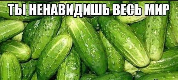 ИШЬ ВЕСЬ МИР ТЫ