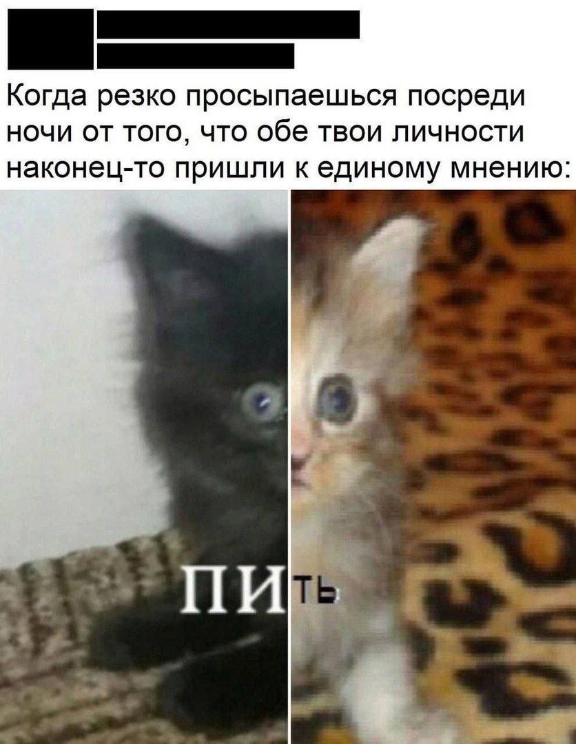 Когда резко просыпаешься посреди ночи от того, что обе твои личности наконец-то пришли к единому мнению: