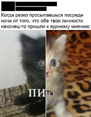 Когда резко просыпаешься посреди ночи от того, что обе твои личности наконец-то пришли к единому мнению: