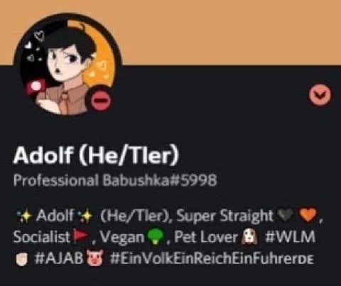 Adolf (Не/Пег) Professional Babushka#5998 Adolf (Не/Пег), Super Straight Socialist Vegan Pet Lover #WLM #EinVolkEinReichEinFuhrerve