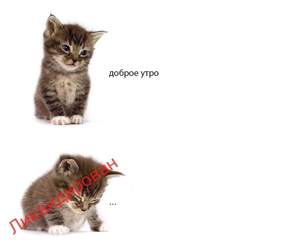 доброе утро