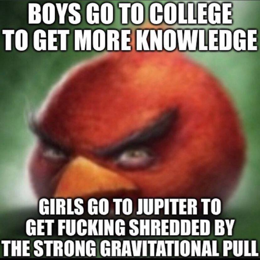 BOYS ТО COLLEGE TO GET MORE KNOWLEDGE GIRLS ТО JUPITER ТО GET FUCKING SHREDDED THE STRONG GRAVITATIONAL PULL