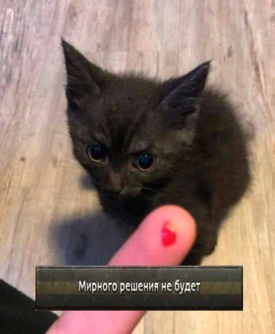 Мирного решения не будет