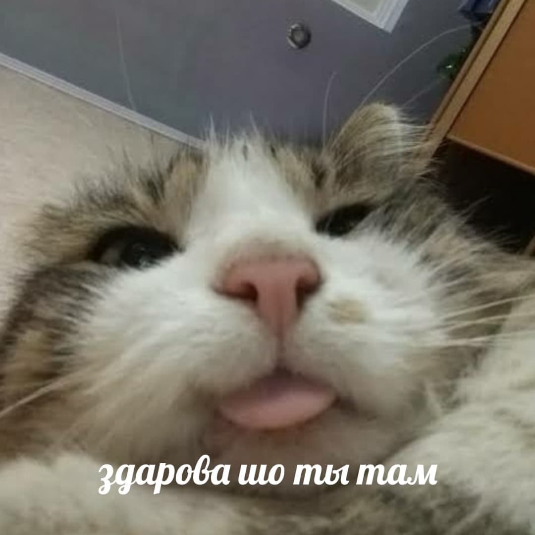 эдарова ты там