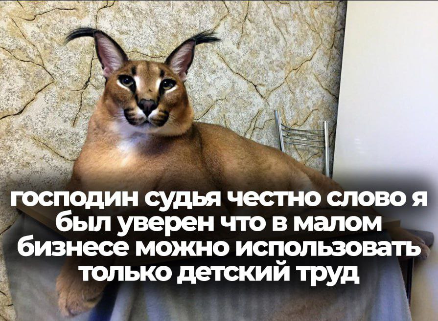 #2 roc mon судья честно слово я уверен что в малом бизнесе можно использовать Зак. ‚только детский труд