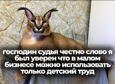 #2 roc mon судья честно слово я уверен что в малом бизнесе можно использовать Зак. ‚только детский труд