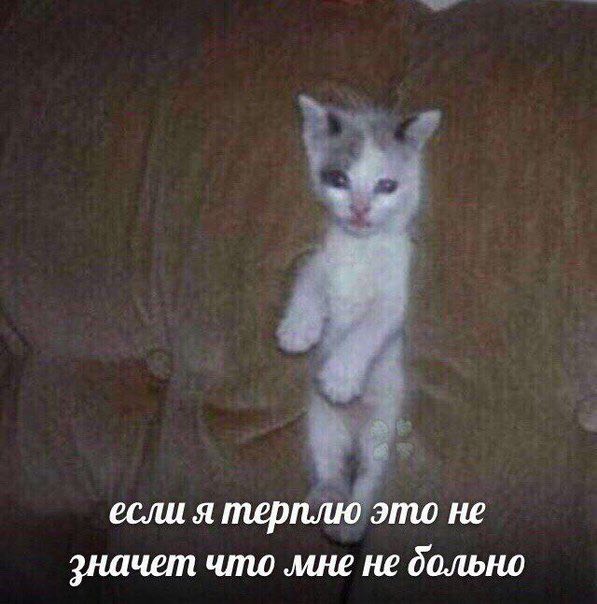 если я терплю это не значет что мне не больно