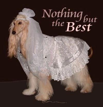 Nothing the