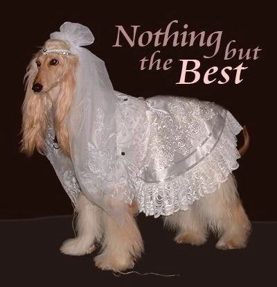 Nothing the