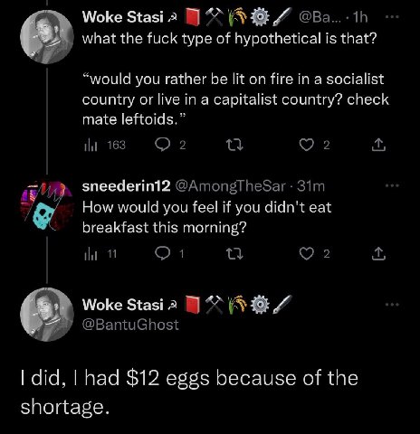 Woke Stasi 2 what the fuck type of hypothetical is that? “would you rather be lit on fire in a socialist country or live in a capitalist country? check mate leftoids.” мы 163 О 2 2 sneederin12 How wou
