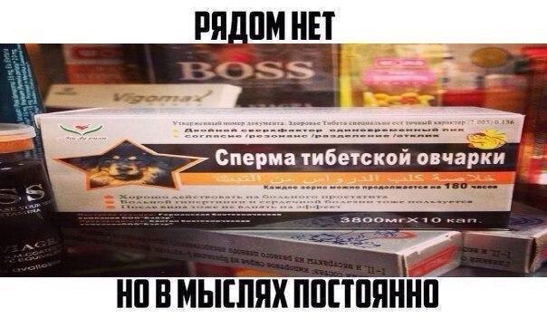 РЯДОМ НЕТ 2% Тибет точжый харлк 36 a Cnepma тибетской OBY Каждое зерно можно Bone an 0 НОВМЫСЛЯХ ПОСТОЯННО