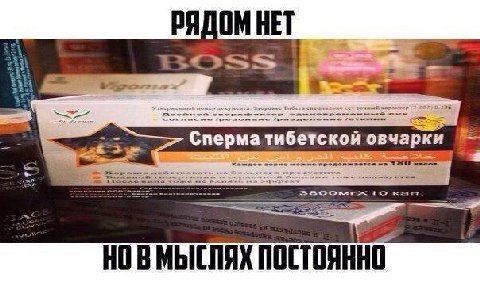 РЯДОМ НЕТ 2% Тибет точжый харлк 36 a Cnepma тибетской OBY Каждое зерно можно Bone an 0 НОВМЫСЛЯХ ПОСТОЯННО