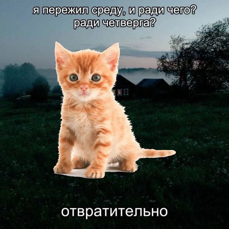 я пережил среду, и ради чего? ради четверга? отвратительно