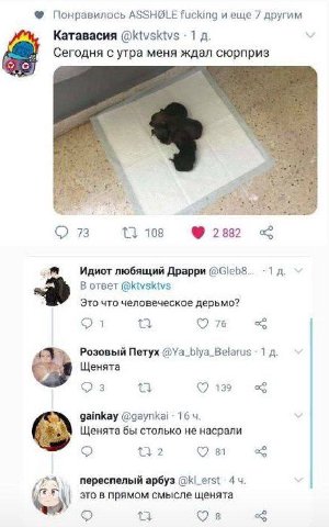 Понравилось ASSH@LE fucking и 7 другим Катавасия @ktvsktvs Сегодня с утра меня ждал сюрприз 108 73 2 Идиот любящий Драрри 1 a. В ответ @ktvsktvs Это что человеческое дерьмо? 76 i Розовый Петух @Ya_bly
