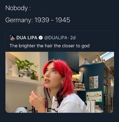 Nobody Germany: 1939 1945 DUA НРА The brighter the hair the closer to god