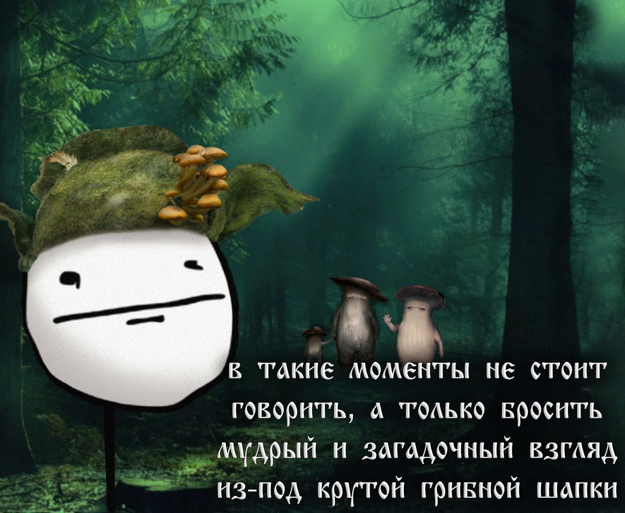 у А. В ТАКИЕ Моменты не стоит говорить, A Только И ЗАГАДОЧНЫЙ ВЗГЛЯД из-под крутой грибной шапки