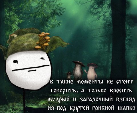 у А. В ТАКИЕ Моменты не стоит говорить, A Только И ЗАГАДОЧНЫЙ ВЗГЛЯД из-под крутой грибной шапки