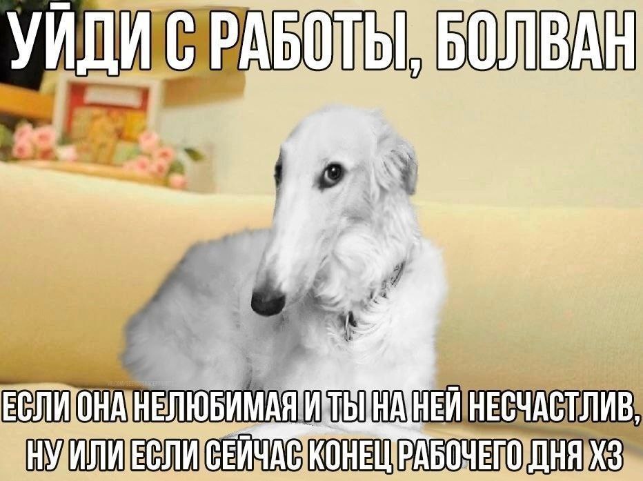 УИДИ ДНЯ